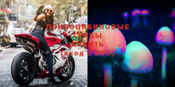винт Алзамай